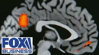 Could psychedelics be the secret to treating PTSD?