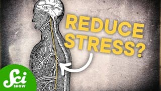 What Does The Vagus Nerve ACTUALLY Do?